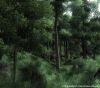 ElderScrollsIVOblivion 24